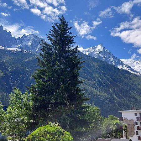 Appartement Chamonix-Mont-Blanc, 2 pièces, 4 personnes - FR-1-517-26 Extérieur photo